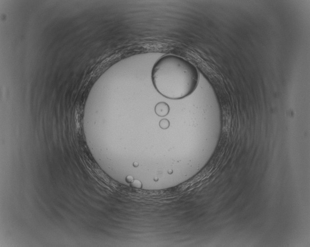 X0000085231106200703090849