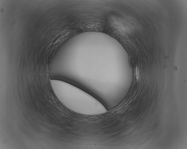 X0000085231107200703090849