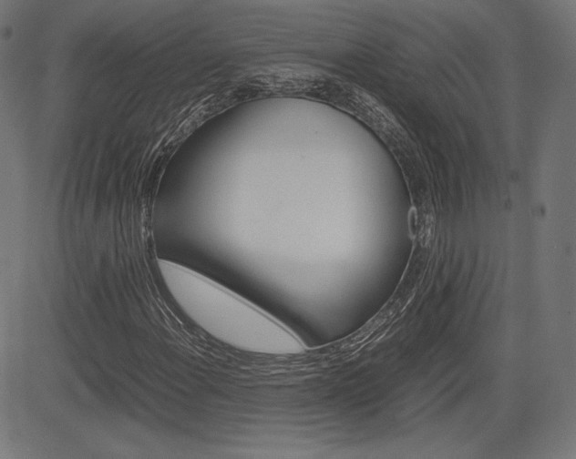X0000085231108200703090849