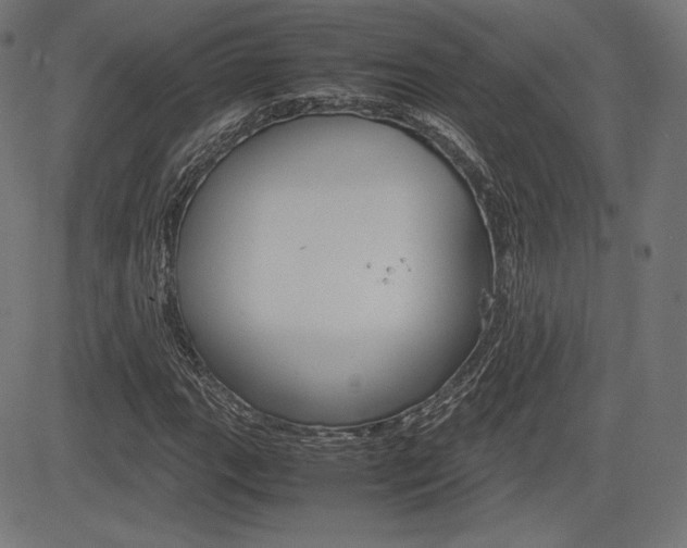 X0000085231111200703090849