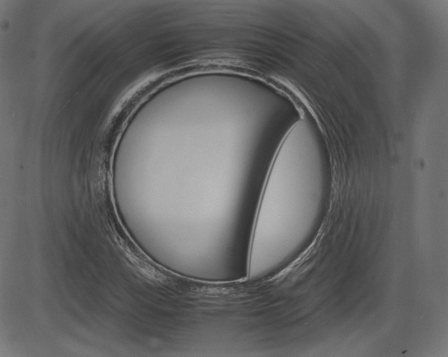 X0000085231115200703090850
