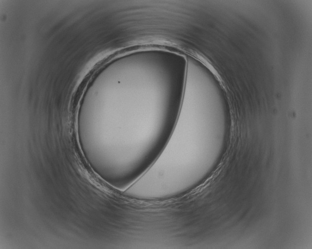X0000085231116200703090850