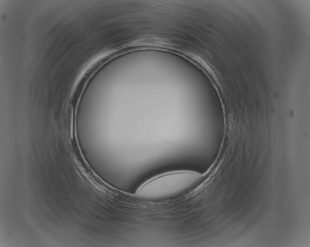X0000085231123200703090850