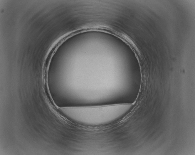 X0000085231124200703090850