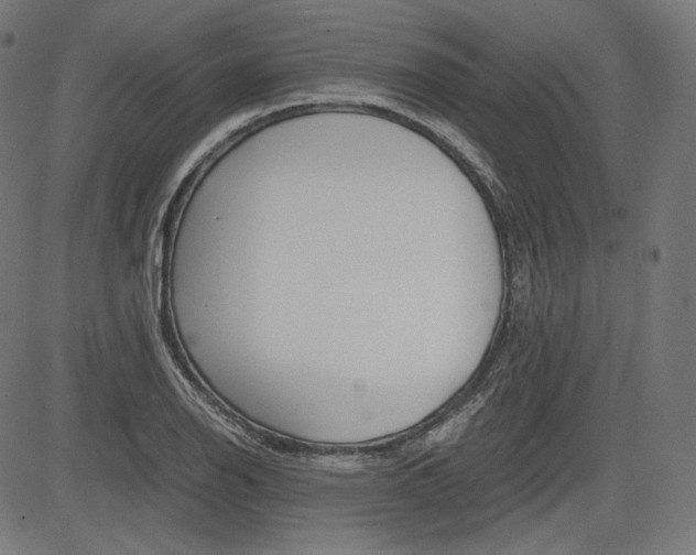 X0000085231126200703090850