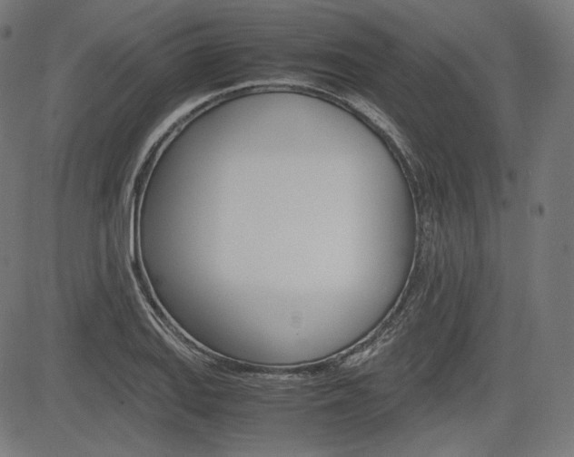 X0000085231127200703090850