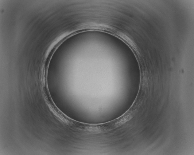 X0000085231128200703090850