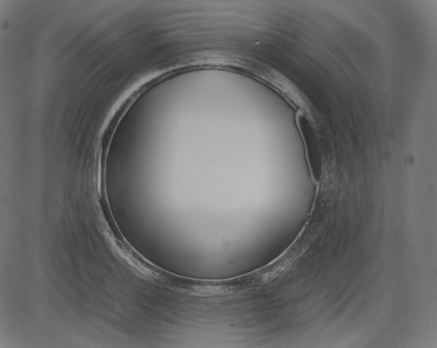 X0000085231132200703090850