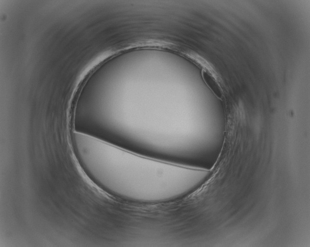 X0000085231135200703090850