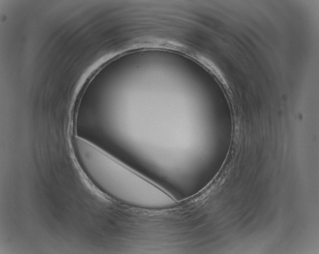 X0000085231136200703090850