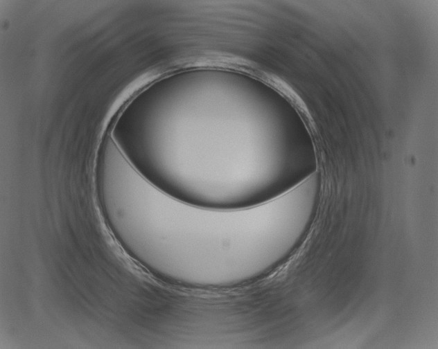 X0000085231138200703090850