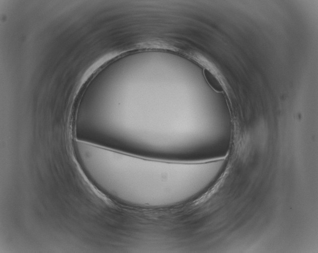 X0000085231141200703090850