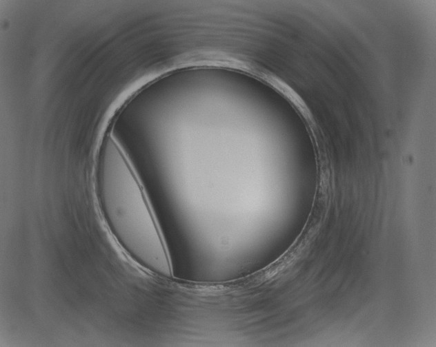X0000085231144200703090850