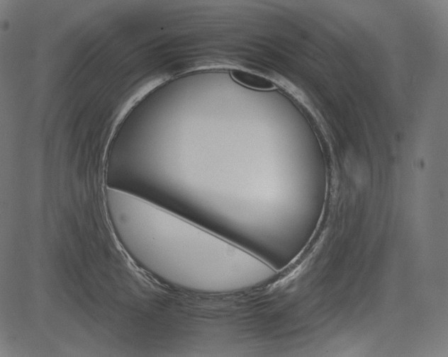 X0000085231145200703090850