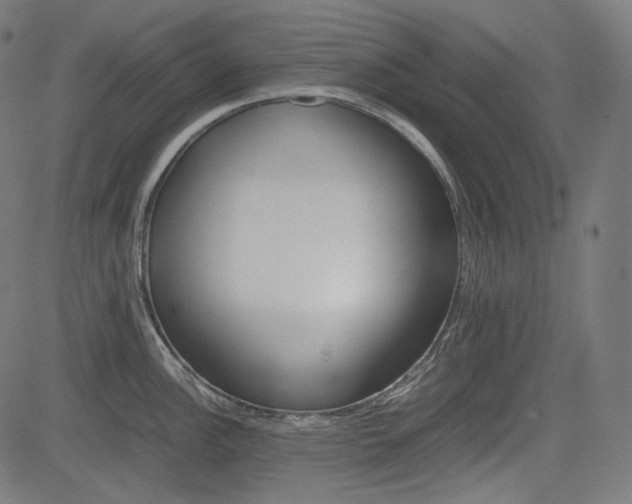 X0000085231148200703090850
