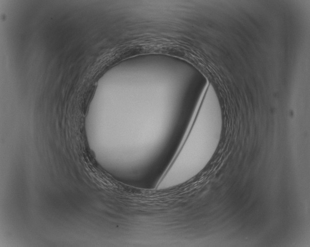 X0000085231153200703090849