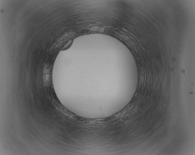 X0000085231154200703090849