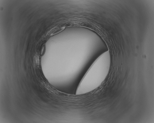 X0000085231155200703090849