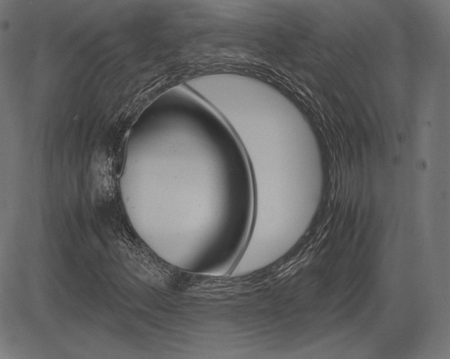 X0000085231156200703090849