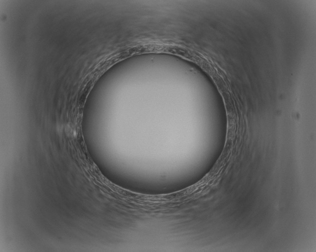X0000085231157200703090849