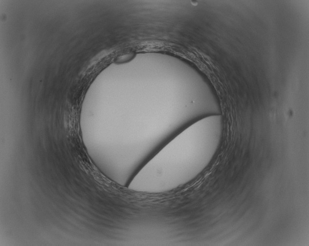 X0000085231158200703090849