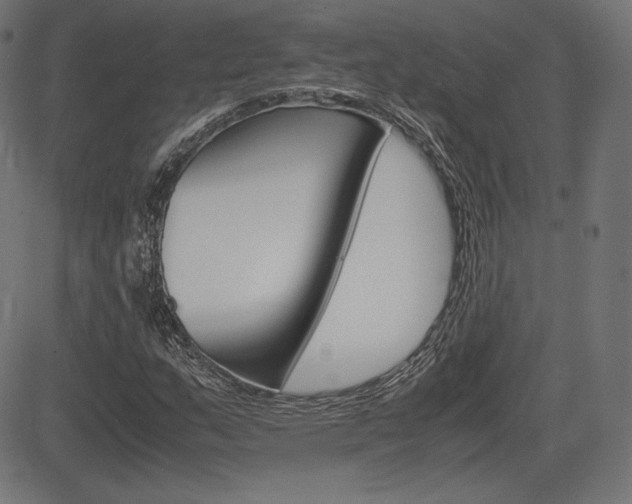 X0000085231159200703090849
