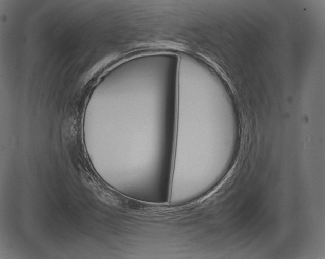 X0000085231163200703090849