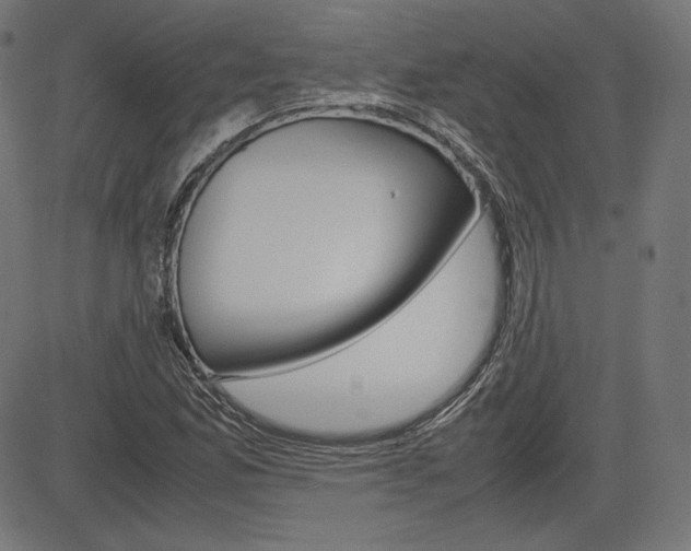 X0000085231165200703090849