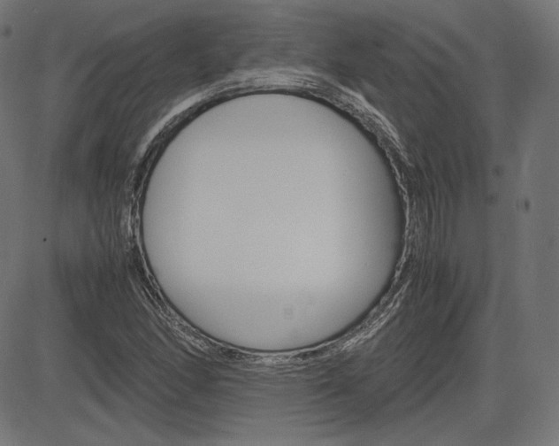 X0000085231166200703090849