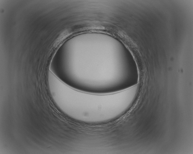 X0000085231169200703090849