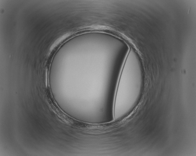 X0000085231171200703090849