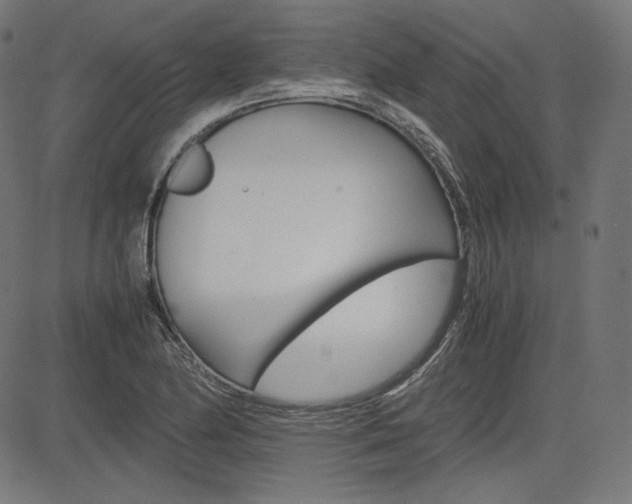X0000085231174200703090849