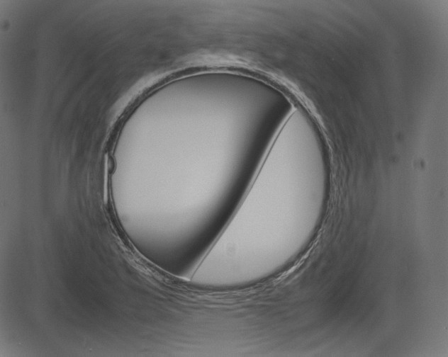 X0000085231175200703090849