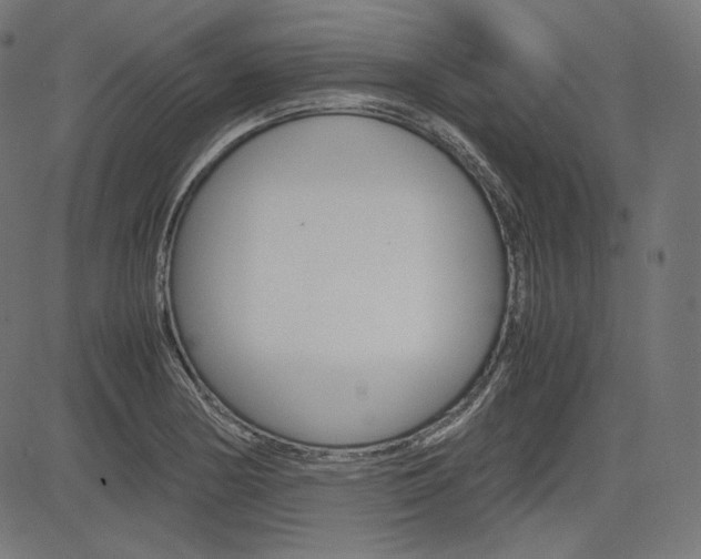 X0000085231178200703090849