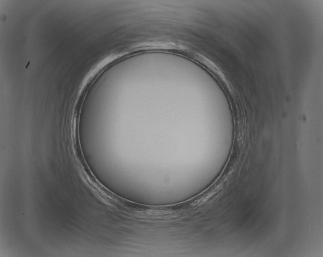 X0000085231179200703090849