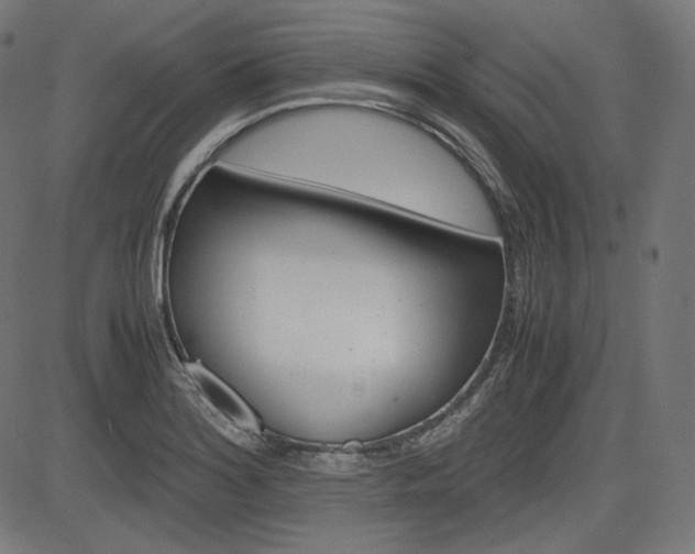 X0000085231180200703090849
