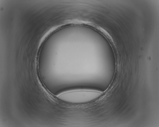 X0000085231183200703090849