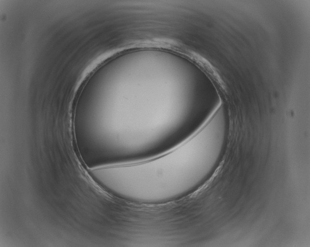 X0000085231184200703090849