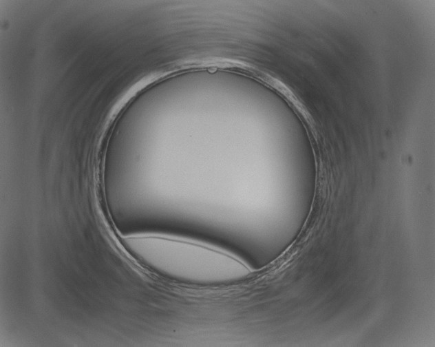 X0000085231187200703090849