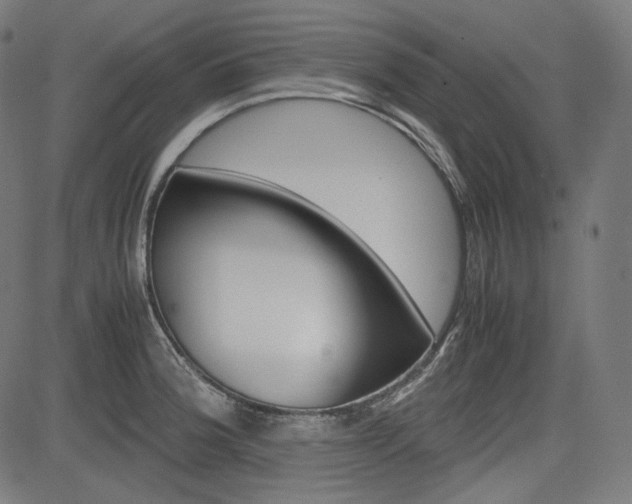 X0000085231188200703090849