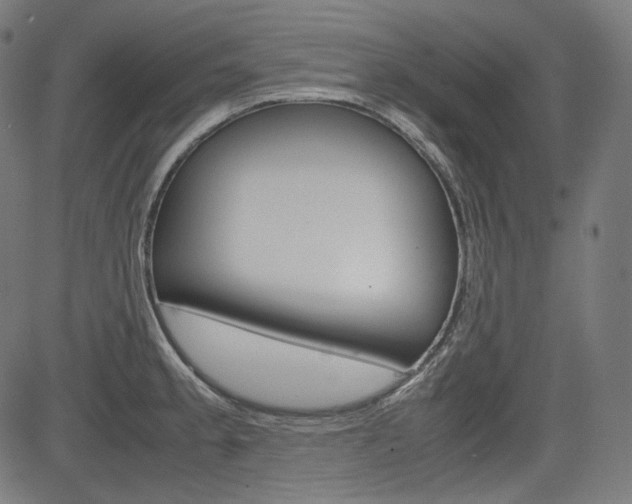 X0000085231189200703090849
