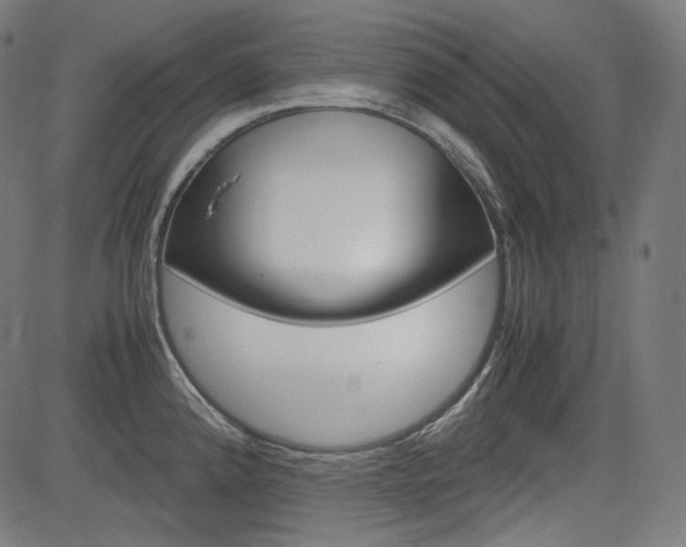 X0000085231192200703090849