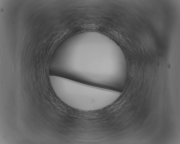 X0000085231201200703090848