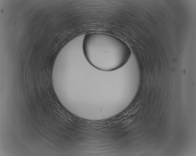 X0000085231202200703090848