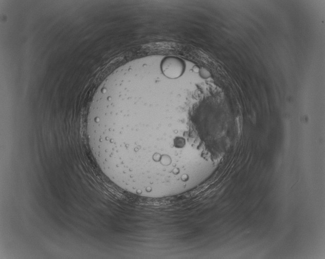 X0000085231203200703090848
