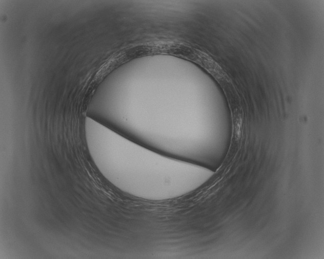X0000085231204200703090848