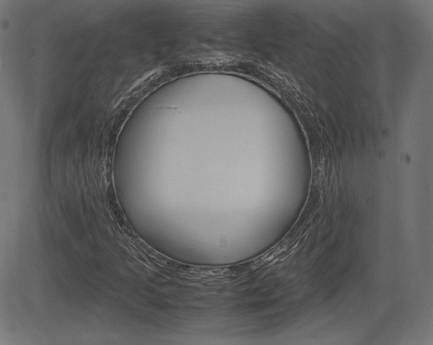 X0000085231205200703090848