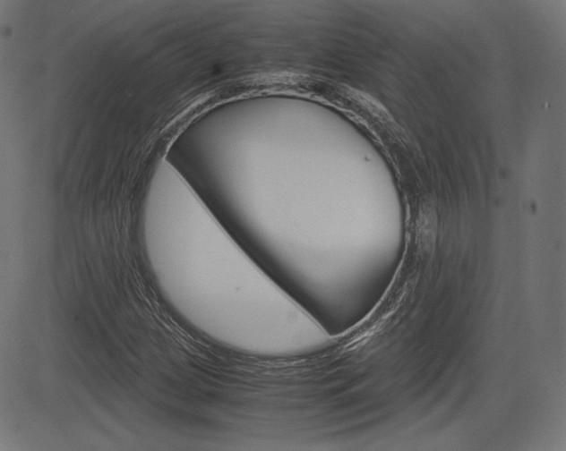 X0000085231209200703090848