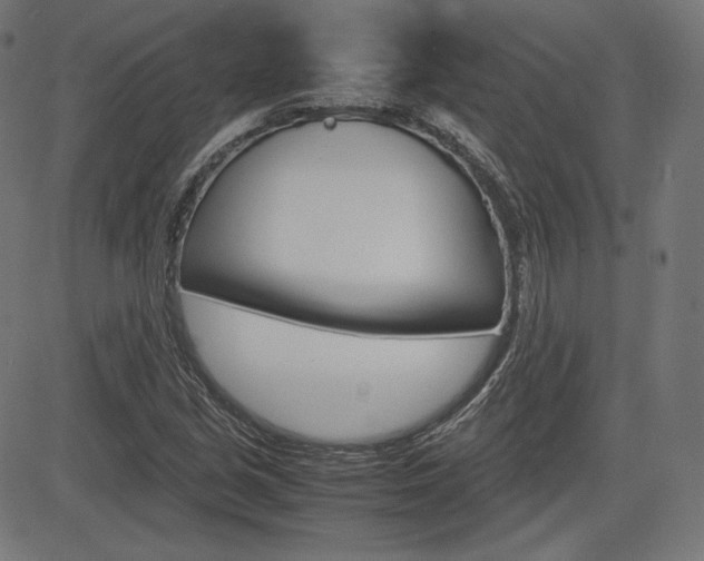 X0000085231213200703090848