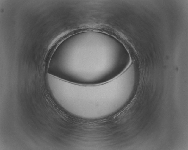 X0000085231214200703090848
